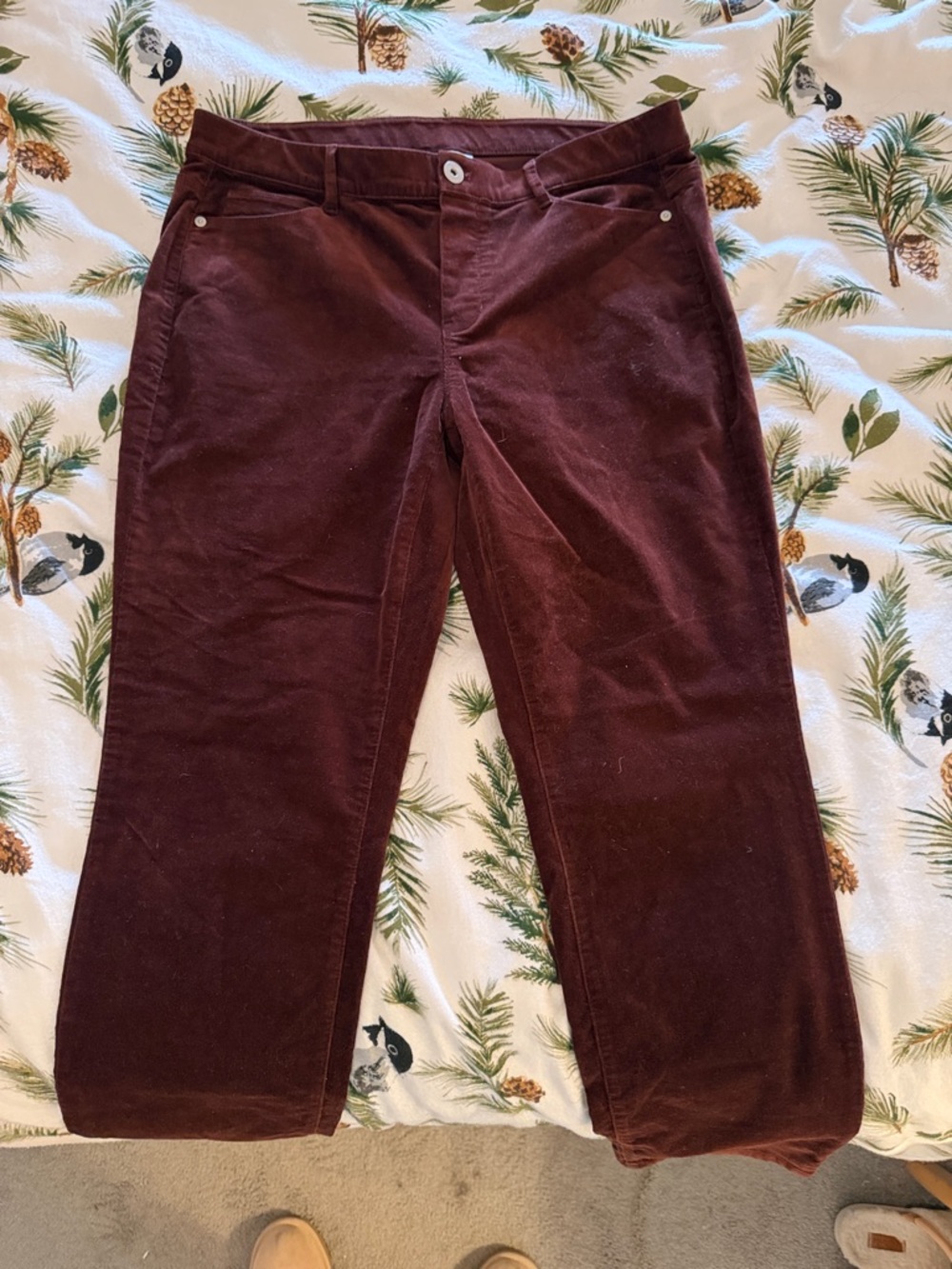 Corduroy Pants in Brown